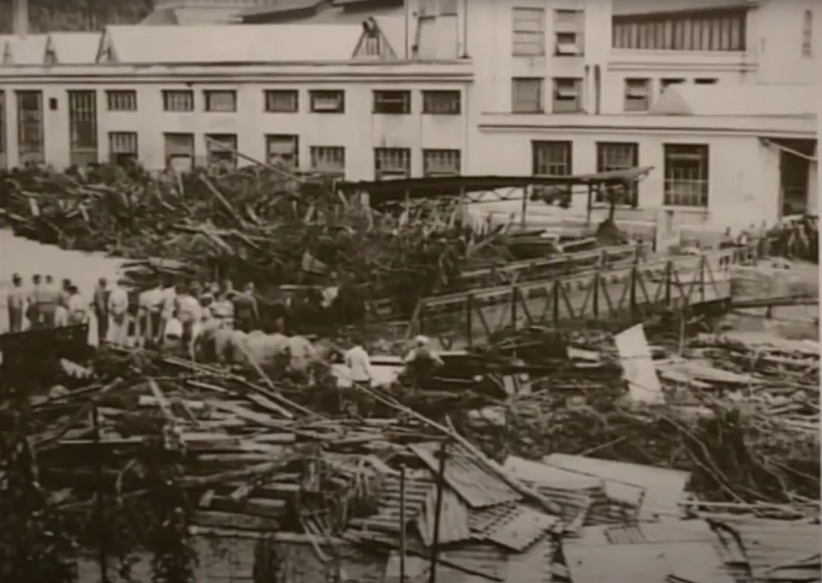 Leute begutachten angeschwemmtes Holz vor einer Fabrik.